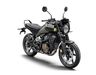 HUSQVARNA 250 SVARTPİLEN